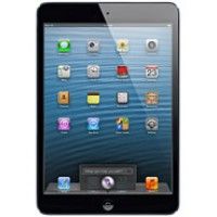 iPad Mini (A1432 - A1454)